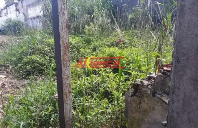 Terreno totalmente plano, ótimo para construção de um predinho