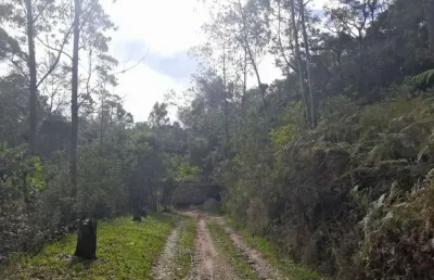 Das proximidades e acessos: - rod. hélio smidt - 6.000 metros - capelinha guarulhos