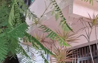 Casa com 3 quartos à venda no Centro, Cabo Frio 