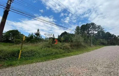 Área à venda, 4973 m² por r$ 3.500.000,00 - granja viana - cotia/sp