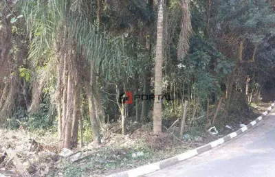 Terreno à venda na Avenida Vasco Massafeli, Granja Viana, Cotia