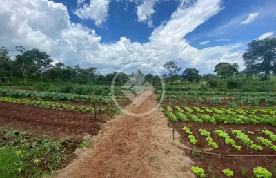 Terreno à venda na Santo Antônio De Goiás, s/n, Zona Rural, Santo Antônio de Goiás