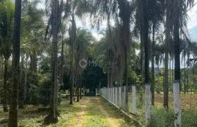 Fazenda à venda na Rua Q 20, 11, Quinta dos Sonhos, Abadia de Goiás