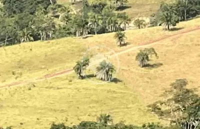 Bairro: zona rural valor: r$ 4.000.000,00 codigo: 46024