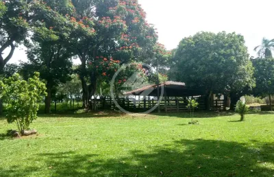 Fazenda - 7,8 alqueires  a 300 metros da br 153 codigo: 88147