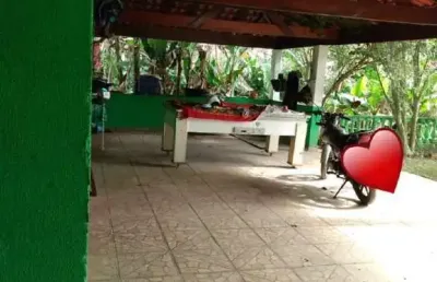 Chácara 5 dormitórios à venda chácara são miguel itaquaquecetuba/sp
