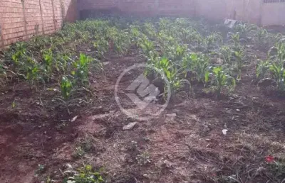 Terreno residencial solar das palmeiras codigo: 74522