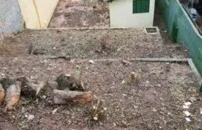 Terreno à venda, 460 m² por r$ 490.000,00 - vila baeta neves - são bernardo do campo/sp
