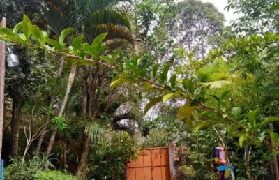 Chácara com 1 dormitório à venda, 4862 m² por r$ 375.000,00 - reprêsa - juiz de fora/mg