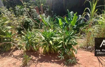 Terreno à venda, 150 m² por r$ 20.000 de entrada - progresso - juiz de fora/mg