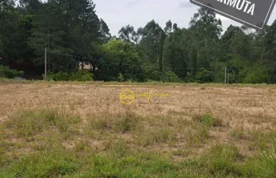 Terreno à venda, 26.000 m² por r$ 7.000.000 - brigadeiro tobias - sorocaba/são paulo