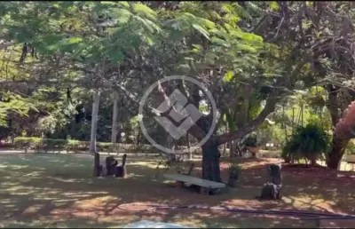 Casa com 6 quartos para alugar na Da Vargem Bonita, sn, Estância Vargem Bonita, Senador Canedo