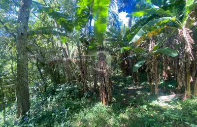 Terreno à venda na Rua Rosa, Pantanal, Florianópolis