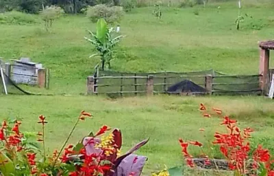 Ótimo sítio terreno de 133.000m² para venda em ribeirão pires/sp