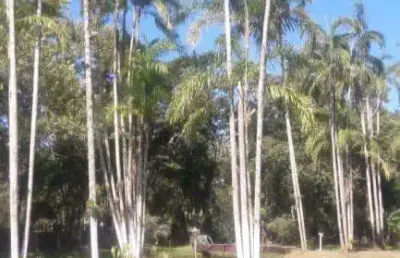 Chácara com 1 dormitório à venda, 5000 m² por r$ 350.000,00 - chácaras iporanga - peruíbe/sp