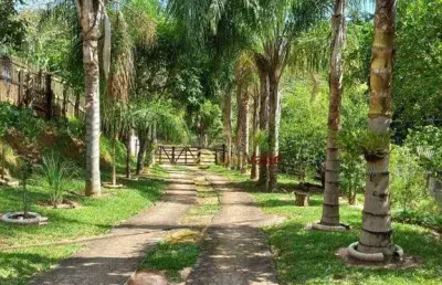 Chácara à venda, 5000 m² por r$ 480.000 - serrinha - taubaté/sp