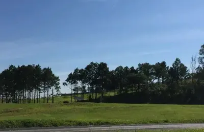 Área na rodovia castelo branco km 90,5, em frente a,toyota. terreno 10.900 m².