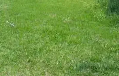 Terreno no condomínio valville 2 - santana de parnaíba