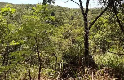 Terreno à venda, 77346 m² por r$ 5.800.950,00 - são sebastião das águas claras - nova lima/mg