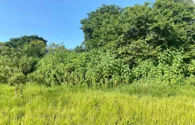 Terreno à venda, 1000 m² por r$ 1.100.000,00 - enseada das garças - belo horizonte/mg
