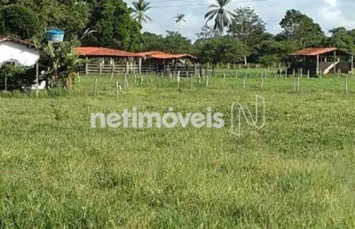 Fazenda à venda na Rua Ba 880, Zona Rural, Cachoeira