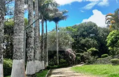 Chácara / sítio com 6 quartos à venda na Rua Domingos Pazini, Estância Angelina, Suzano
