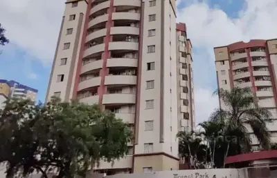 Apartamento à venda, gleba fazenda palhano, londrina, pr