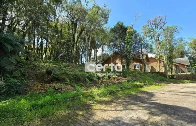 Terreno à venda, 681 m² - vila do cedro - canela/rs