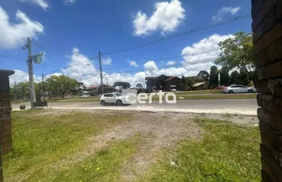 Terreno à venda em Canelinha, Canela 
