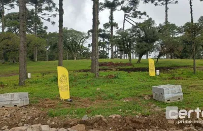 Terreno à venda, 421 m² -jardim do farol - canela/rs