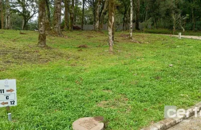 Terreno à venda, 421 m² jardim do farol - canela/rs