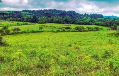 Grande oportunidade, sítio à venda, 70.000 m²- serra grande - gramado/rs