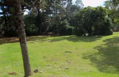 Terreno em condomínio fechado à venda no Bom Jesus, Canela 
