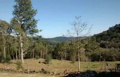 Chácara / sítio à venda no Caracol, Canela 