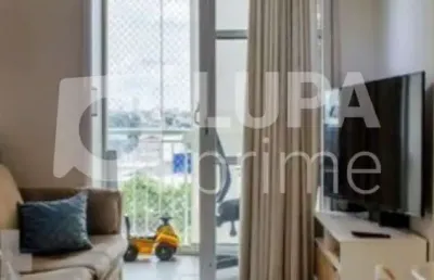 Apartamento com 3 quartos para venda, vila guilherme, são paulo