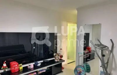 Sobrado com 3 quartos para venda, vila gustavo, são paulo