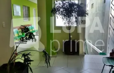 Sala comercial com 12 salas à venda na Avenida das Cerejeiras, 158, Vila Maria, São Paulo