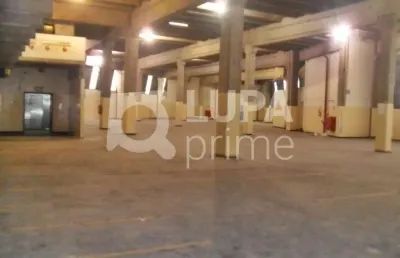 Galpão comercial com 7.789m² para locação, jardim guança, são paulo