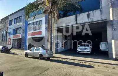 Galpão comercial com 500m² para venda, vila maria baixa, são paulo