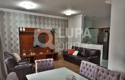 Sobrado com 3 quartos (suíte) 5 vagas vila isolina mazzei