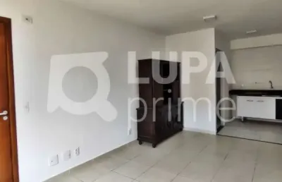 Apartamento com 2 quartos para locação, tucuruvi, são paulo