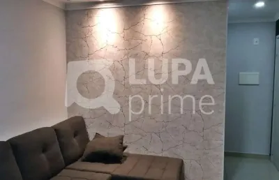 Apartamento com 3 quartos para venda, vila guilherme, são paulo