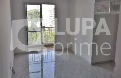 Apartamento com 3 quartos para venda, vila maria alta, são paulo