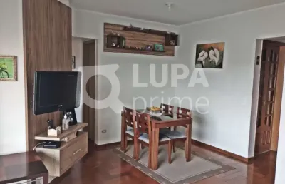 Apartamento com 3 quartos para venda, mandaqui, são paulo