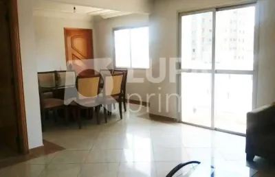 Apartamento com 3 quartos para venda, vila paulicéia, são paulo