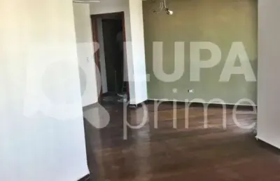 Apartamento com 3 quartos para venda, parada inglesa, são paulo