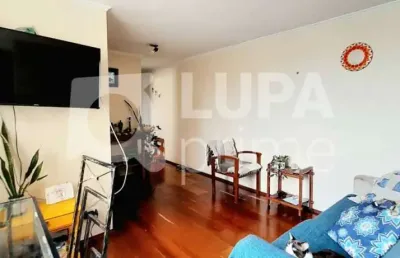 Apartamento com 2 dormitórios á venda no parque mandaqui