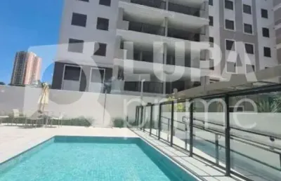 Apartamento com 2 quartos sendo 1 suíte para locação no jardim paraíso