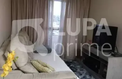 Apartamento com 3 dormitórios á venda na cachoeirinha