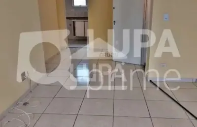Apartamento com 3 quartos e 1 vaga de garagem para venda, vila maria, são paulo